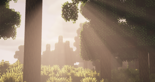 Dappled Sunlight~Currently working on something big ^-^