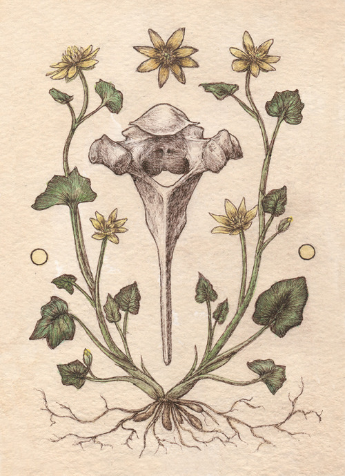 kellyaroman: New piece I did today. Dedicated to a vertebra from a deer I found while walking up str