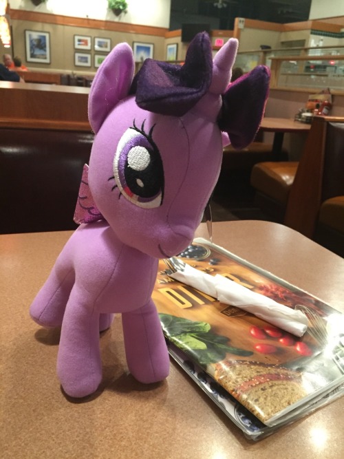 WENT TO DENNY&rsquo;S SAW A TWILIGHT IN THE CRANE MACHINE AND WON ON THE FIRST TRY.
