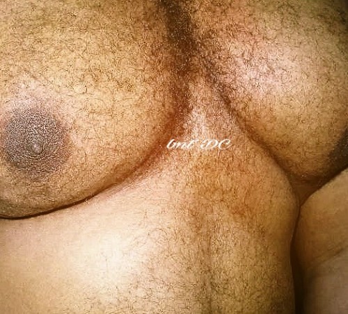 bigntastydc:  If u like em big….say hello