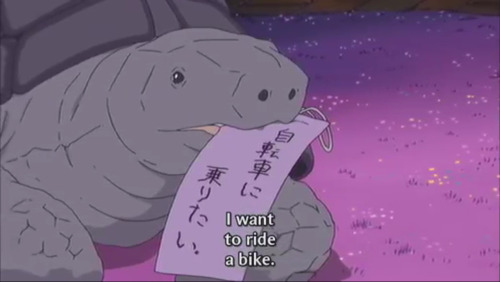 everyonesamadao:  Animals have adorable wishes  