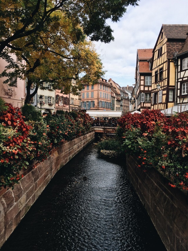 thewanderingmillennial: Colmar in Alsace, France. 🇫🇷  