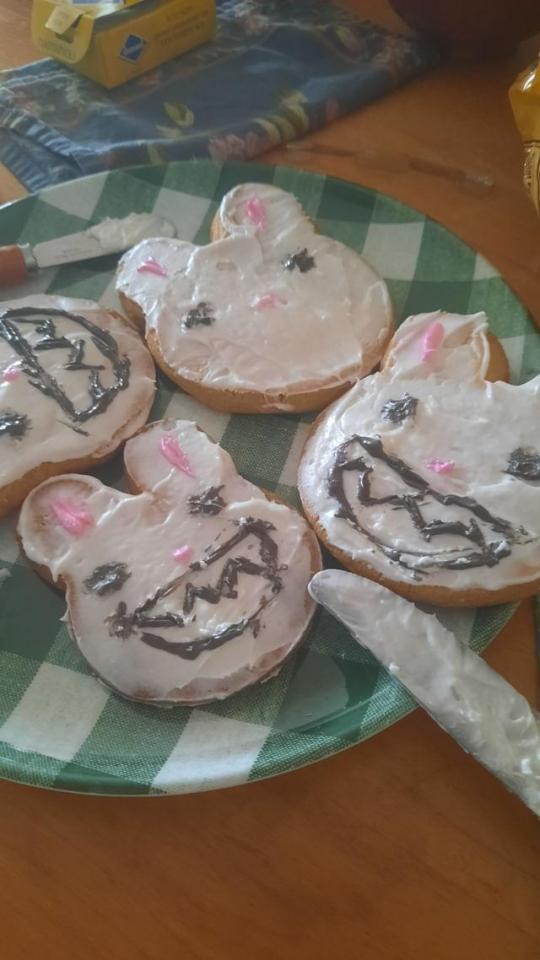 Fun Fact! Three Years Ago Me And A Great Friend Of Mine Made These Max Cookies For Funsies. I Thought