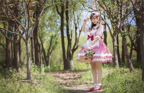 Sugar Teatime Afternoon Picnics in the Field series preorderMy Australia-based Taobao shopping servi