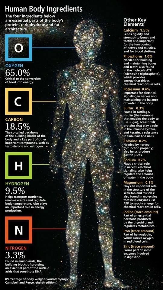 thedemon-hauntedworld:  Human Body Ingredients[source] 