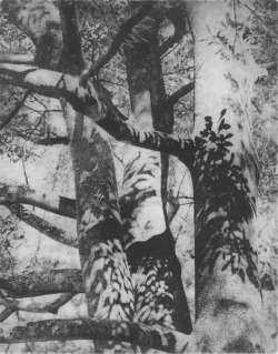 Scavenger of Human Sorrow