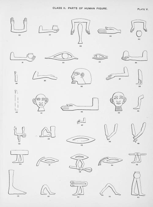 Plate V. Parts of human figure. The chapel of Ptahhetep and the hieroglyphs. 1900. Heidelberg Univer