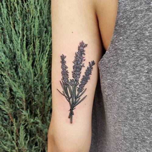 160 Amazing Lavender Tattoo Designs with Meanings Ideas and Celebrities   Body Art Guru