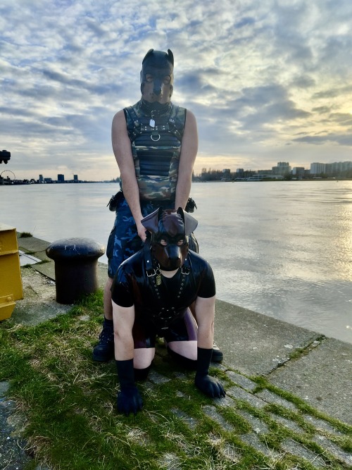 The Mandatory Crane Images From Darklandsthanks @PupRufusAD For The Pics
