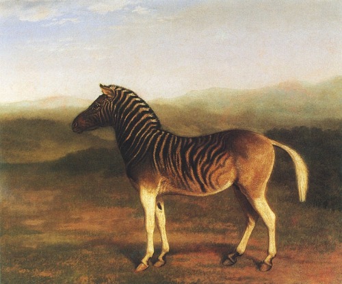 Painted by Jacques-Laurent Agasse, probably in the early 1800&rsquo;s.