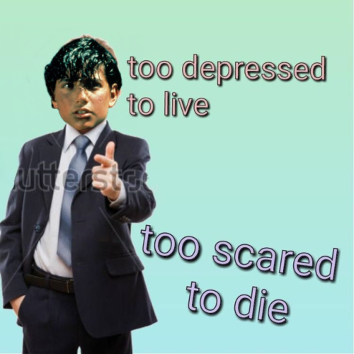 Enjoy These Images