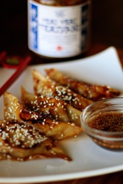 boozybakerr:  Asian Shrimp DumplingsWhere