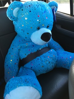 stuckininfancy: After going to the toy store Daddy told me I had to put my new teddy in the back seat. I wanted to hold him but Daddy said he had to be buckled in :) 