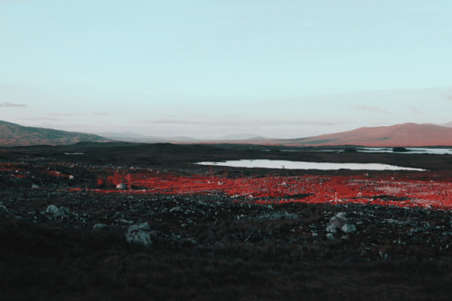 thephotoregistry:  Maxime Chillemi