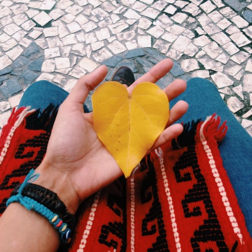 Free Bird🍃