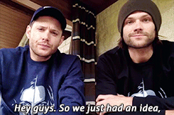 jaredandjensen: [x]