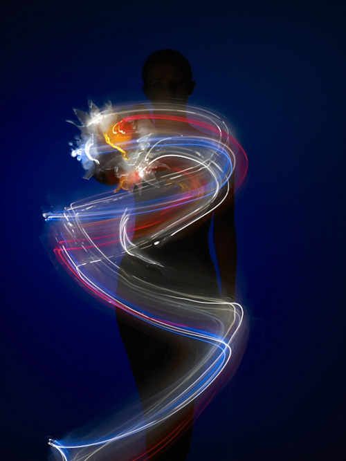 ryandonato:  Michael Taylor, Light Trace 