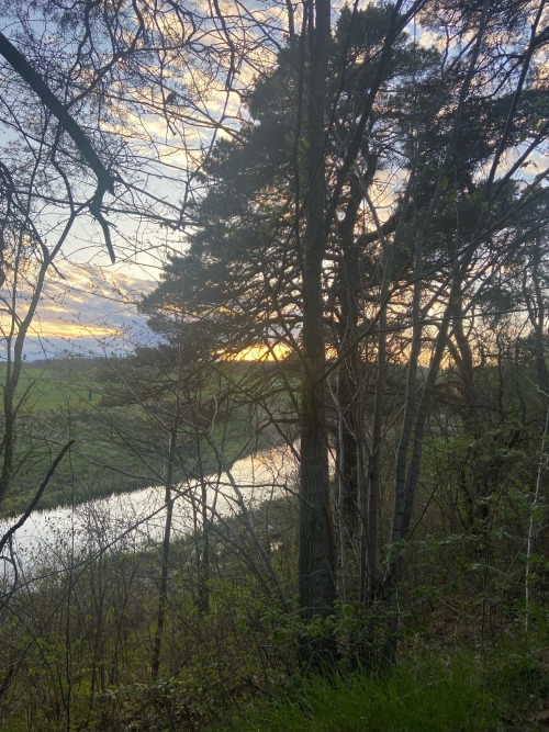 Spring Is Magical