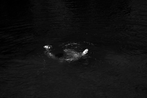 untrustyou:  Eva Tsagaraki 