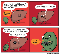interinsanity:  neonxwhales:  mediclopedia: Some of the ways our organs communicate with each other… This is scientifically correct.  I’m laughing so hard omg poor gall bladder 