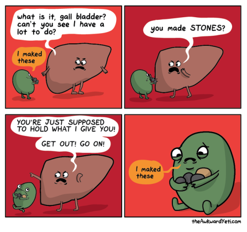 meghantonjes:Gallbladder/less and cackling