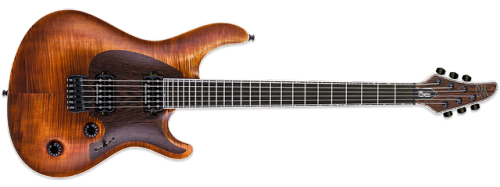 New for 2018 Mayones Regius CoreGuard 6 added to their Master Builder Collection (MBC) the special d