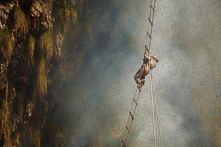 indiaincredible:   Ancient Tradition of Honey Hunting in Nepal 