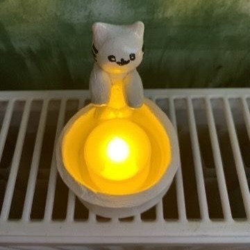 Https://twitter.com/gatitosentiment