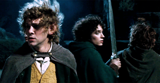 allnerds:  It never ceases to amaze me, the courage of hobbits.