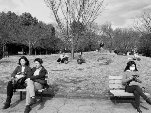 Awaiting spring. Or something.Ebisu, Tokyo