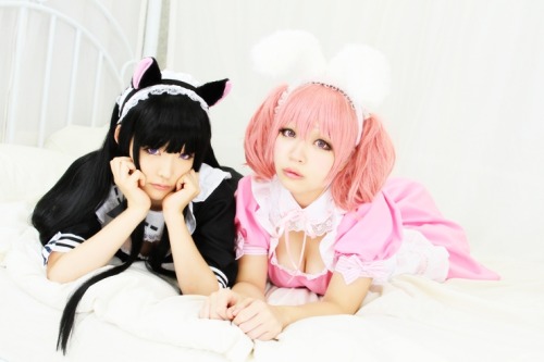 cosplay-soul:  Karuta Roromiya | Inu x Boku SS 