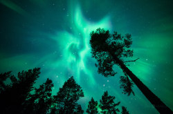 drxgonfly:Nordic Lights (by Joni Niemelä)