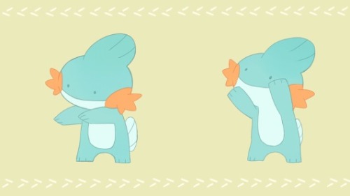 pokemondaycares:  ミズゴロウ たいそう 