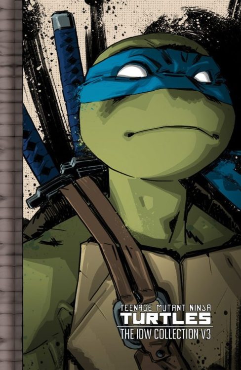 scienceninjaturtle: IDW TMNT Collection Covers