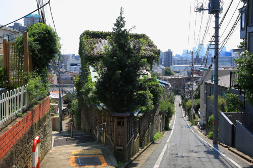 maru-ichi:Forked Road (day &amp; night) by Nobuhiro OkadaHinashizaka (left), Fujimizaka (right)