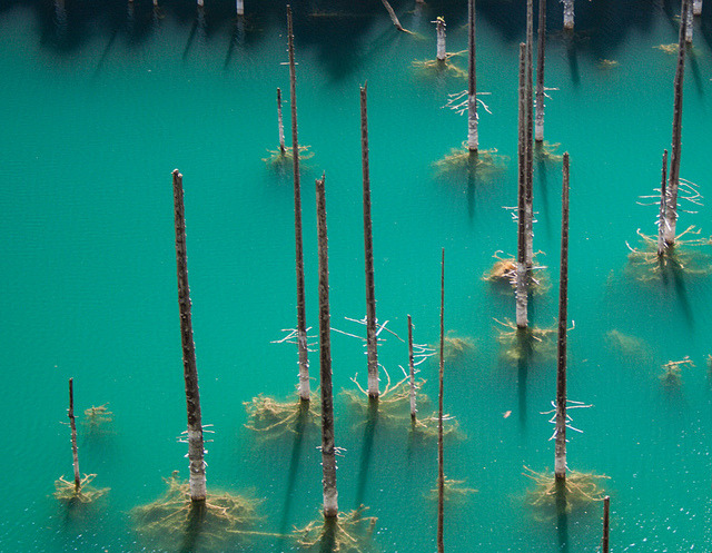 odditiesoflife:The Amazing Underwater Forest of Lake Kaindy What makes Lake Kaindy truly