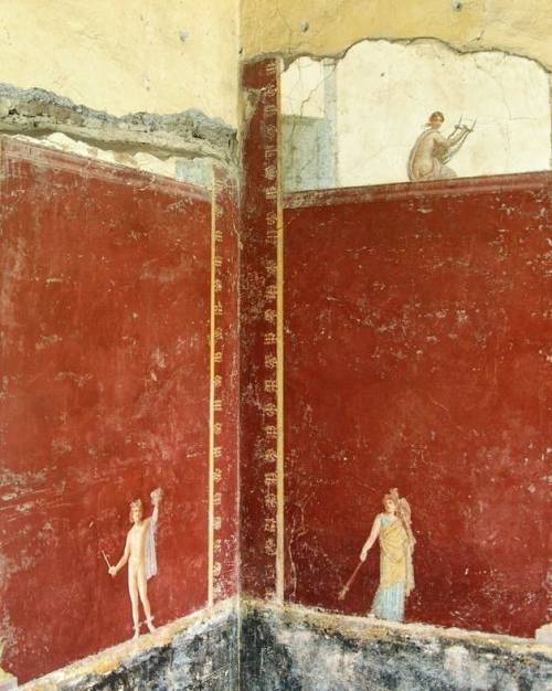 ancientarchaeology:Wall painting in room 30 (diaeta) adjoining the large portico.⠀Mid-1st century CE