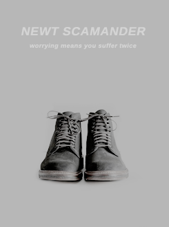 rosetylecr:   character posters: newt scamander (fantastic beasts)