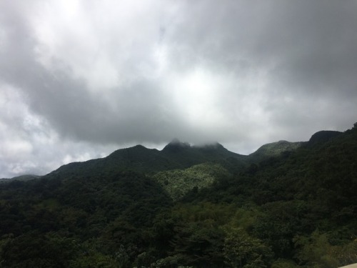 lem0nqueen: El Yunque, Puerto Rico