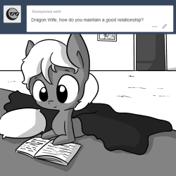 thehorsewife:Communication.x3 D’awww, so