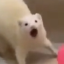 atypingmachine