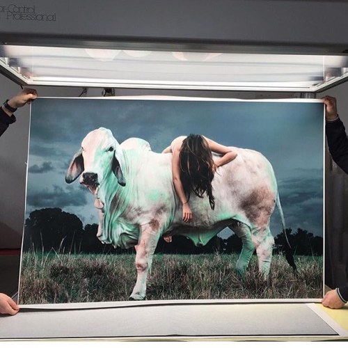 #regram #printing #photography #beefcakes @1968photography @center_chrome_fine_art_lab