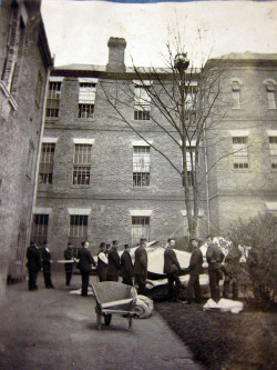 1895. Staff at Colney Hatch Asylum wait for a patient to come down from a tree. Barnett, London.