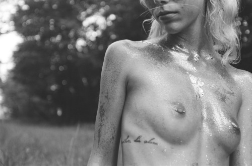 hannalgrace:  film studies july 2015 hannalgrace l lionheart 