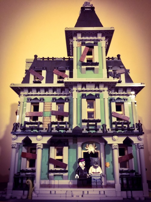 Just as I have moved into my apartment, the lego monster wives moved house with me.