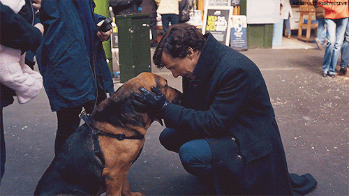 Gratuitous Sherlock GIFsJohn: So, how does that help us?Sherlock: What?John: Toby the hacker.Sherloc