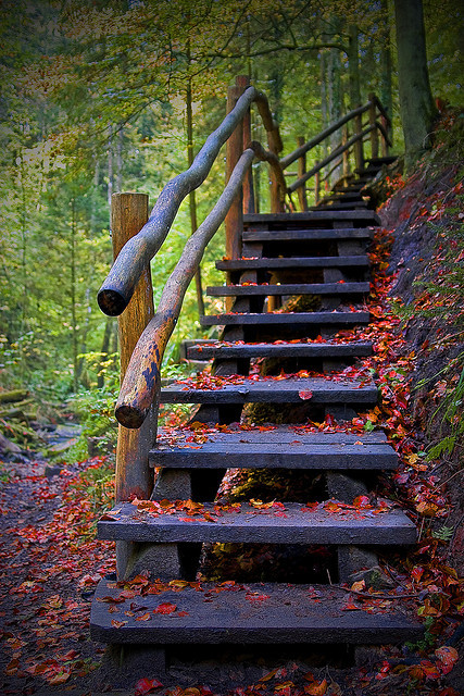 djferreira224:  There are times when life calls out for a change by Evelyn Arthur