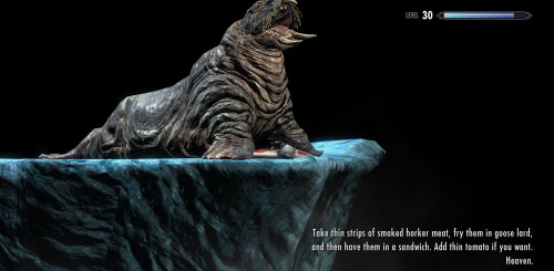 electricpastry:  So I got a mod that changes my loading screens to helpful “tips” from Sheogorath and— 