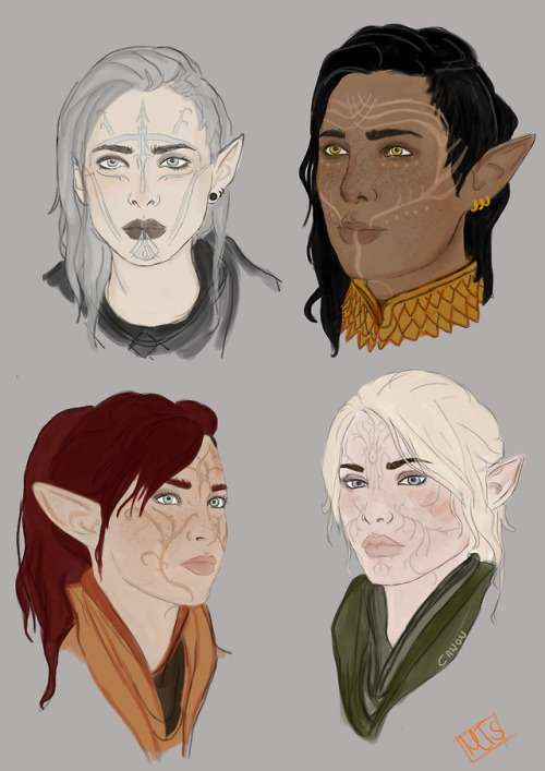 inkywarden:my elves.