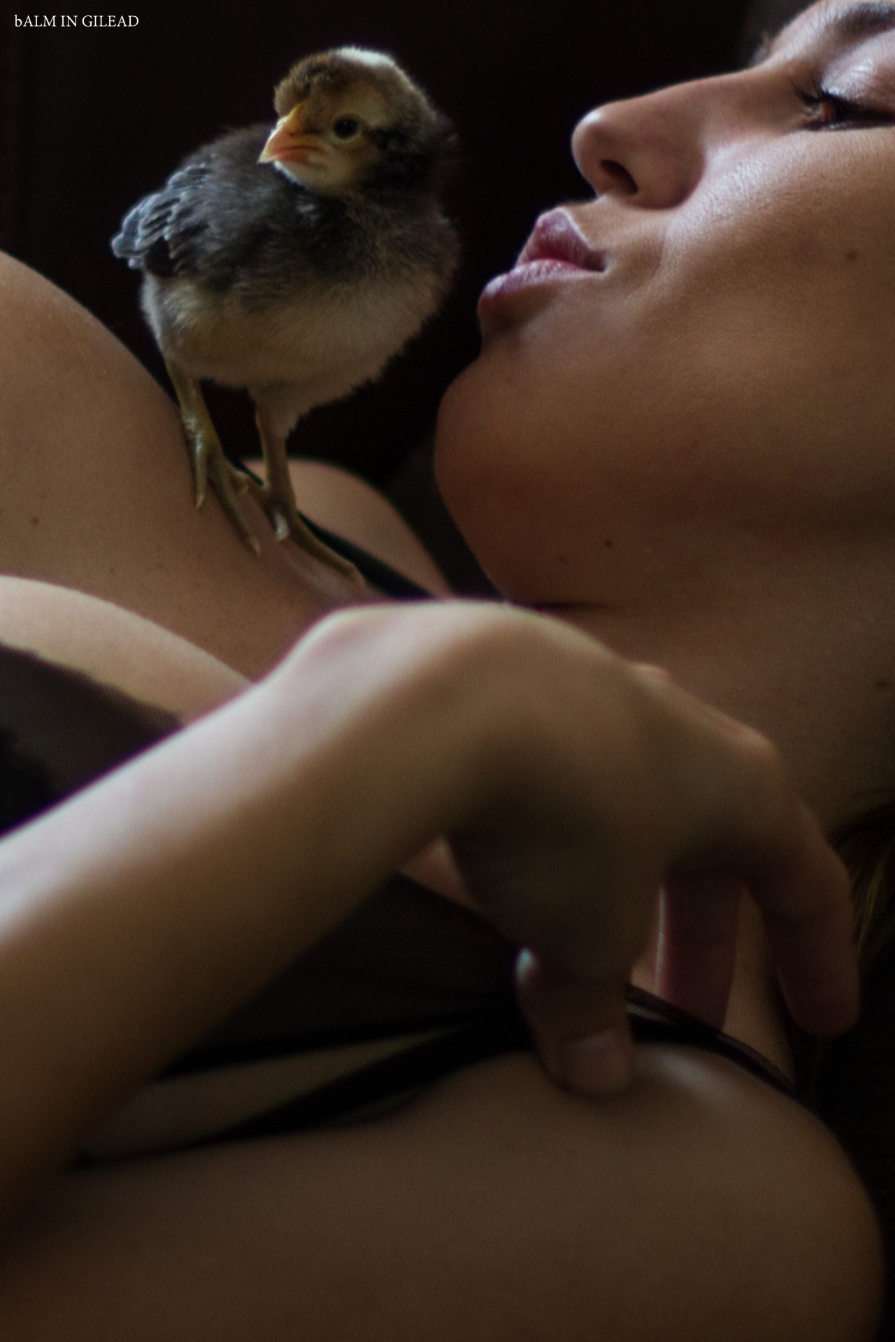 katzpajamaz:  Out-take with Peepers before we found him a home.